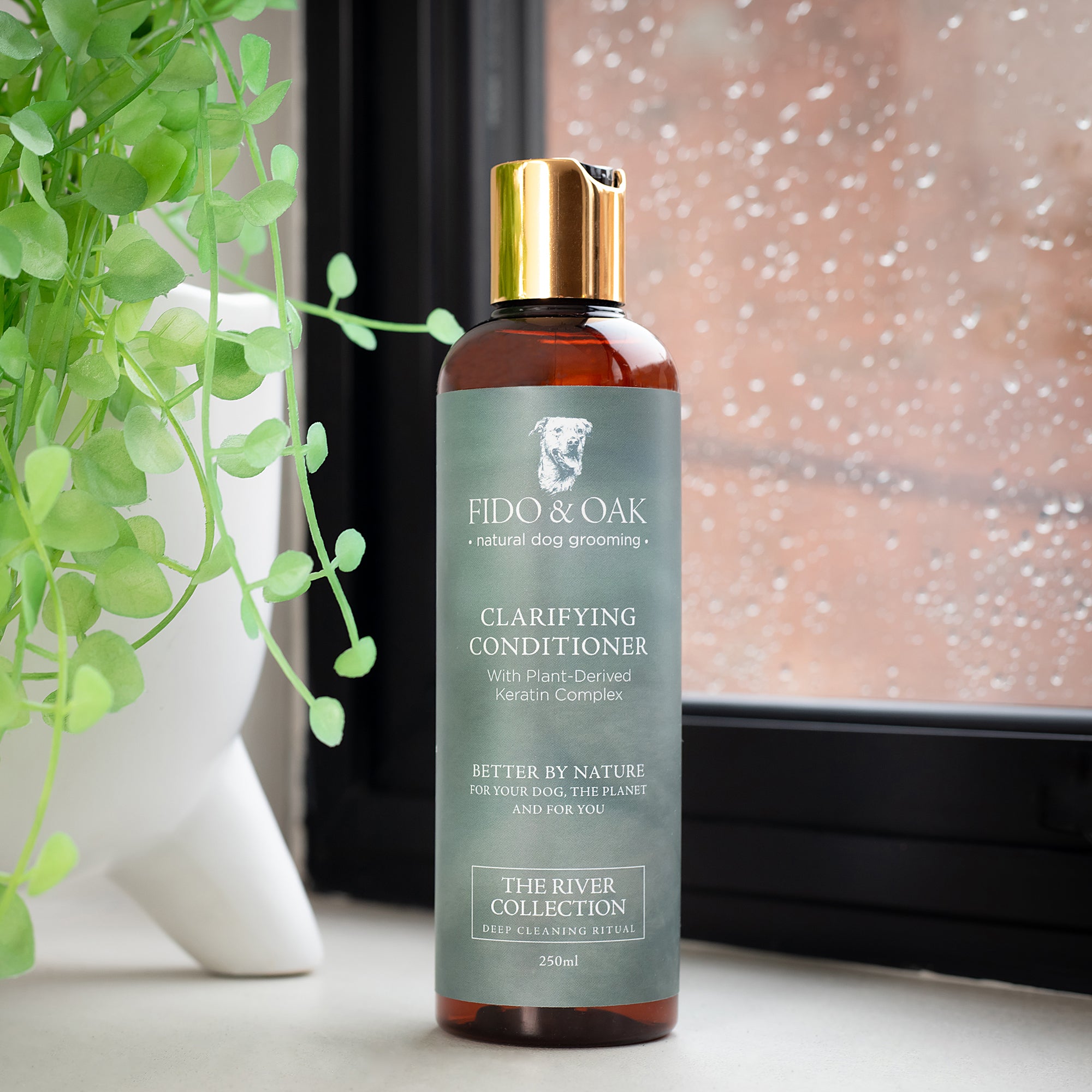 Clarifying Conditioner