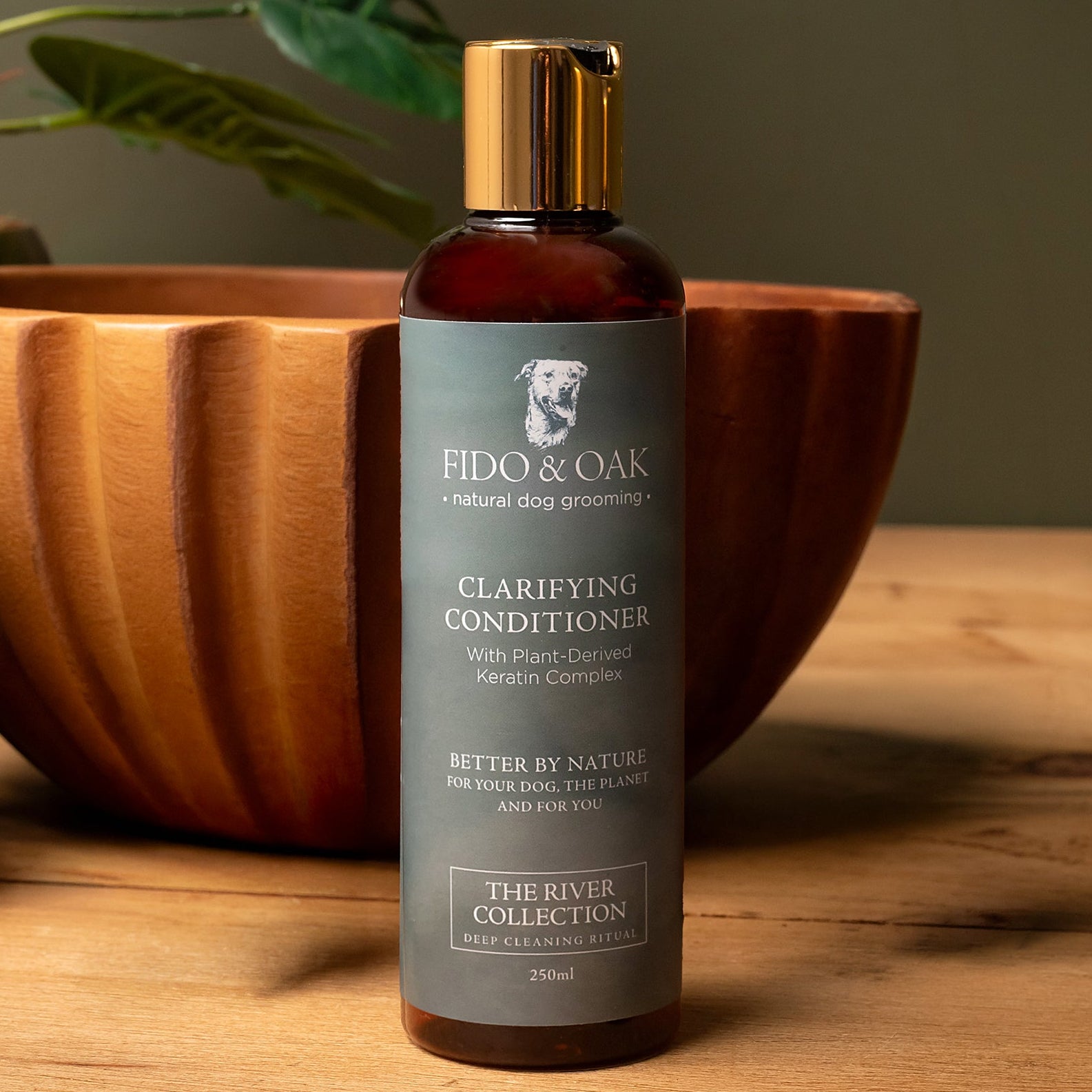 Clarifying Conditioner