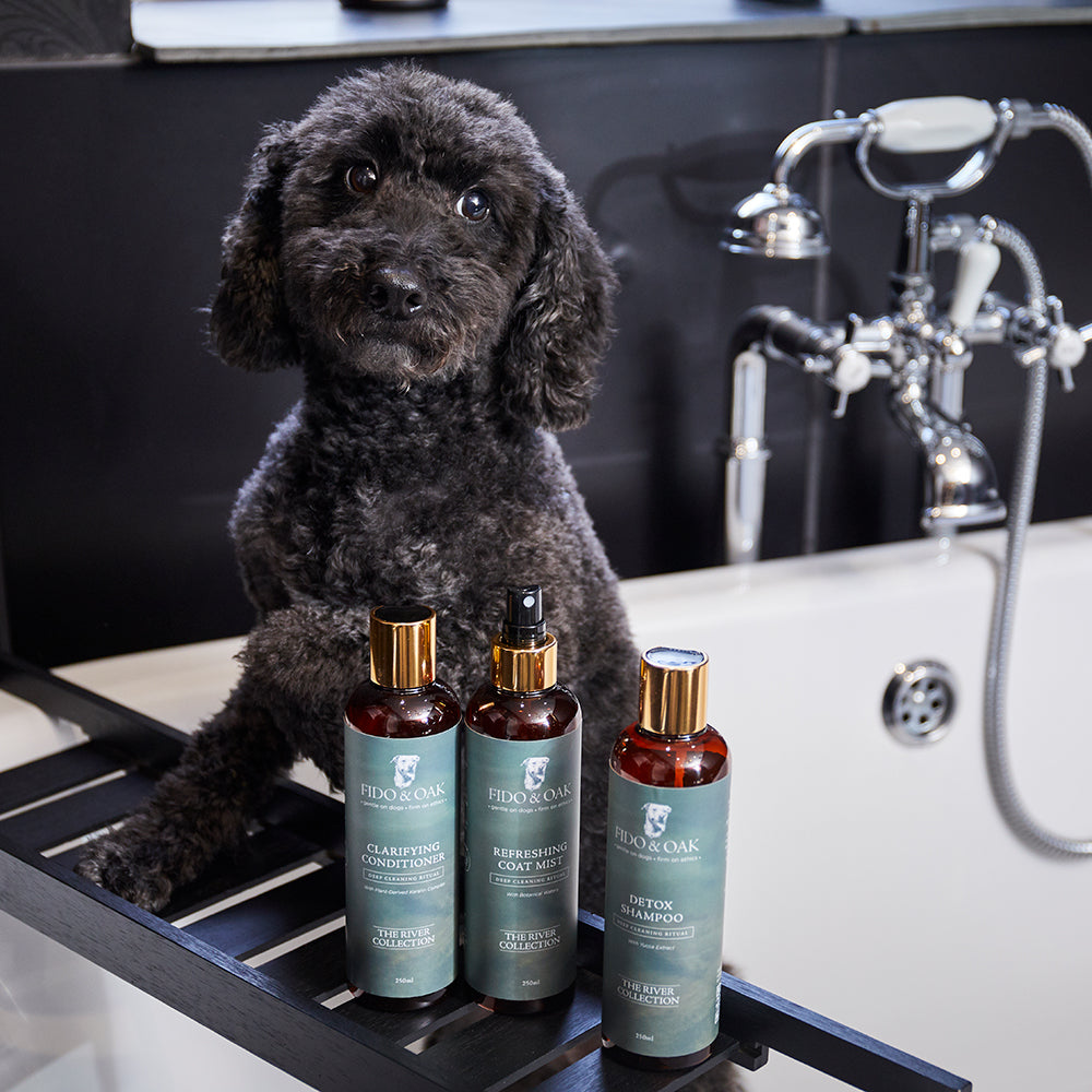 Dog sitting in a bath with Fido & Oak dog shampoo, conditioner and coat mist.