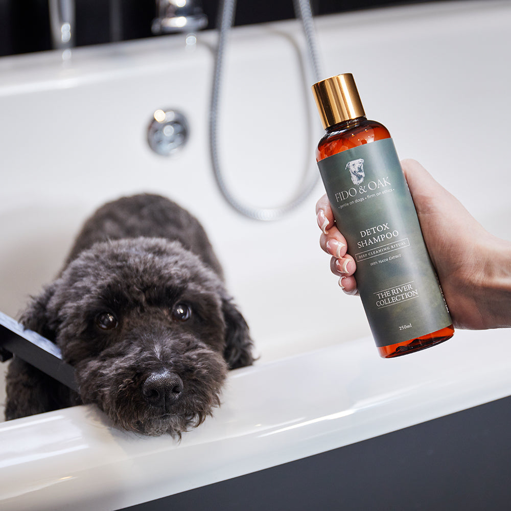 Person holding a bottle of Fido & Oak Detox Shampoo over a dog in a bathtub