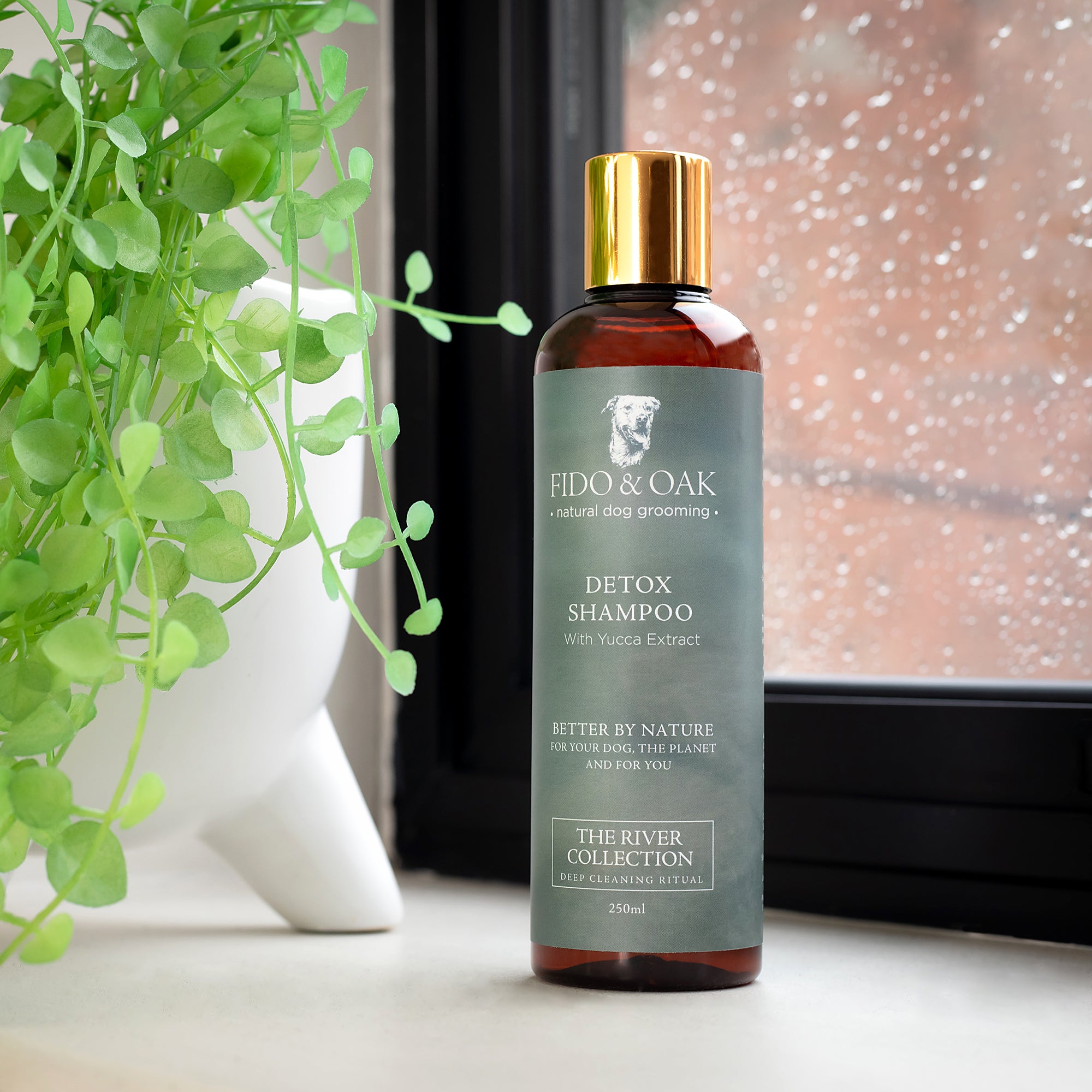 Detox Shampoo