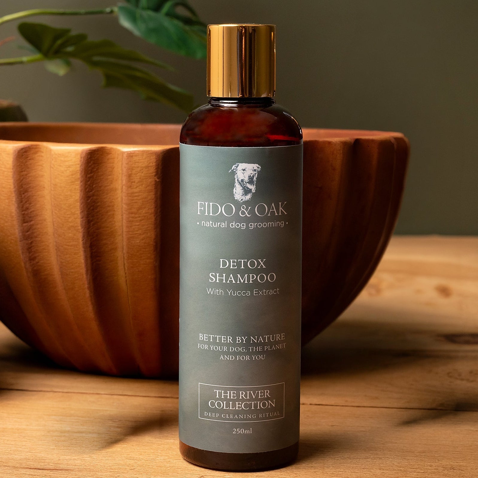 Detox Shampoo